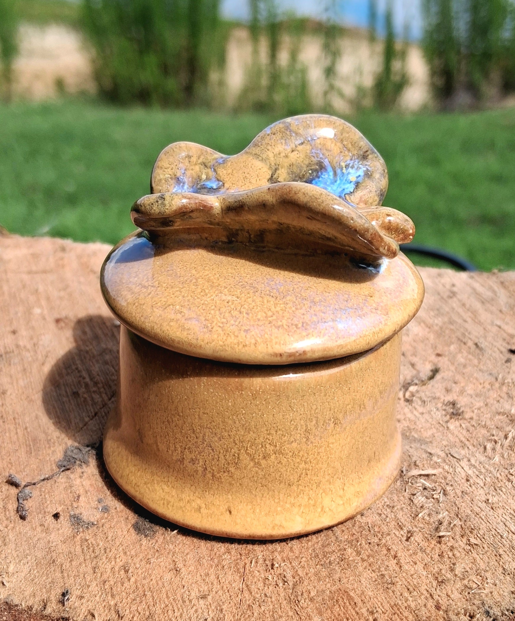 Butterfly trinket box