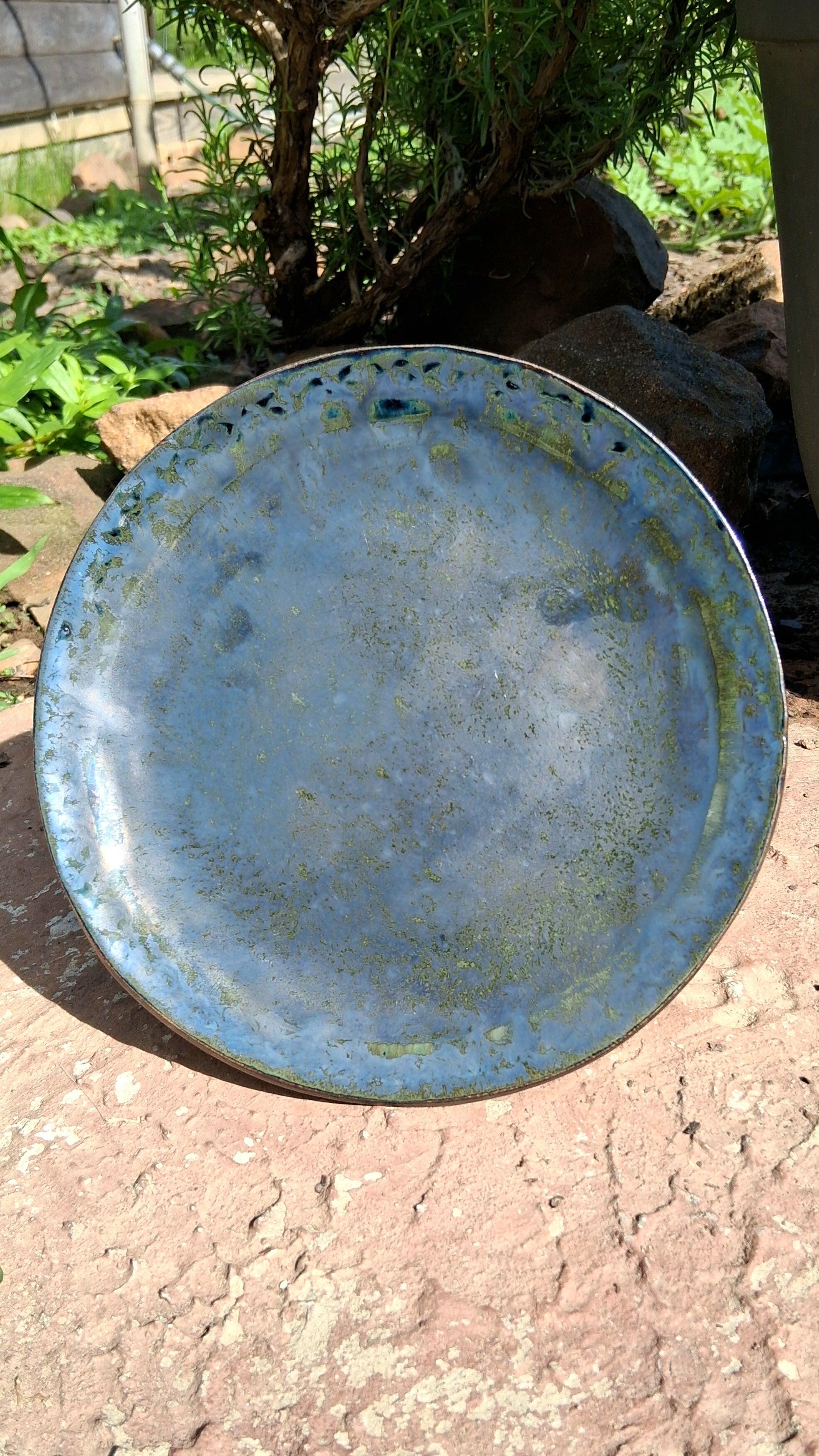 June Bug decorative plate