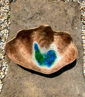 Glass bottom seashell