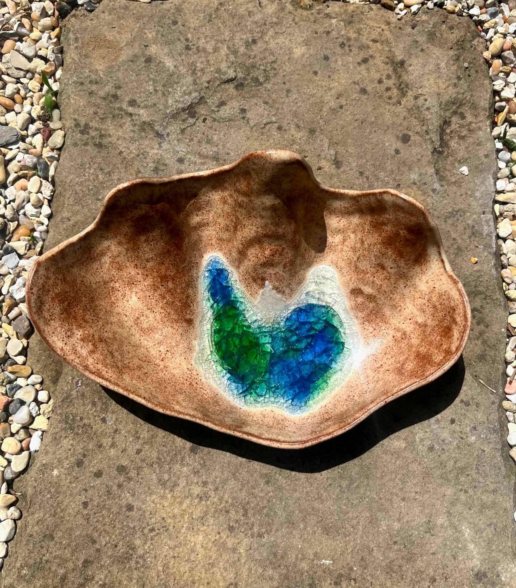 Glass bottom seashell