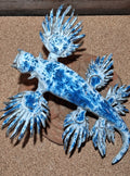 Blue Glaucus sea slug