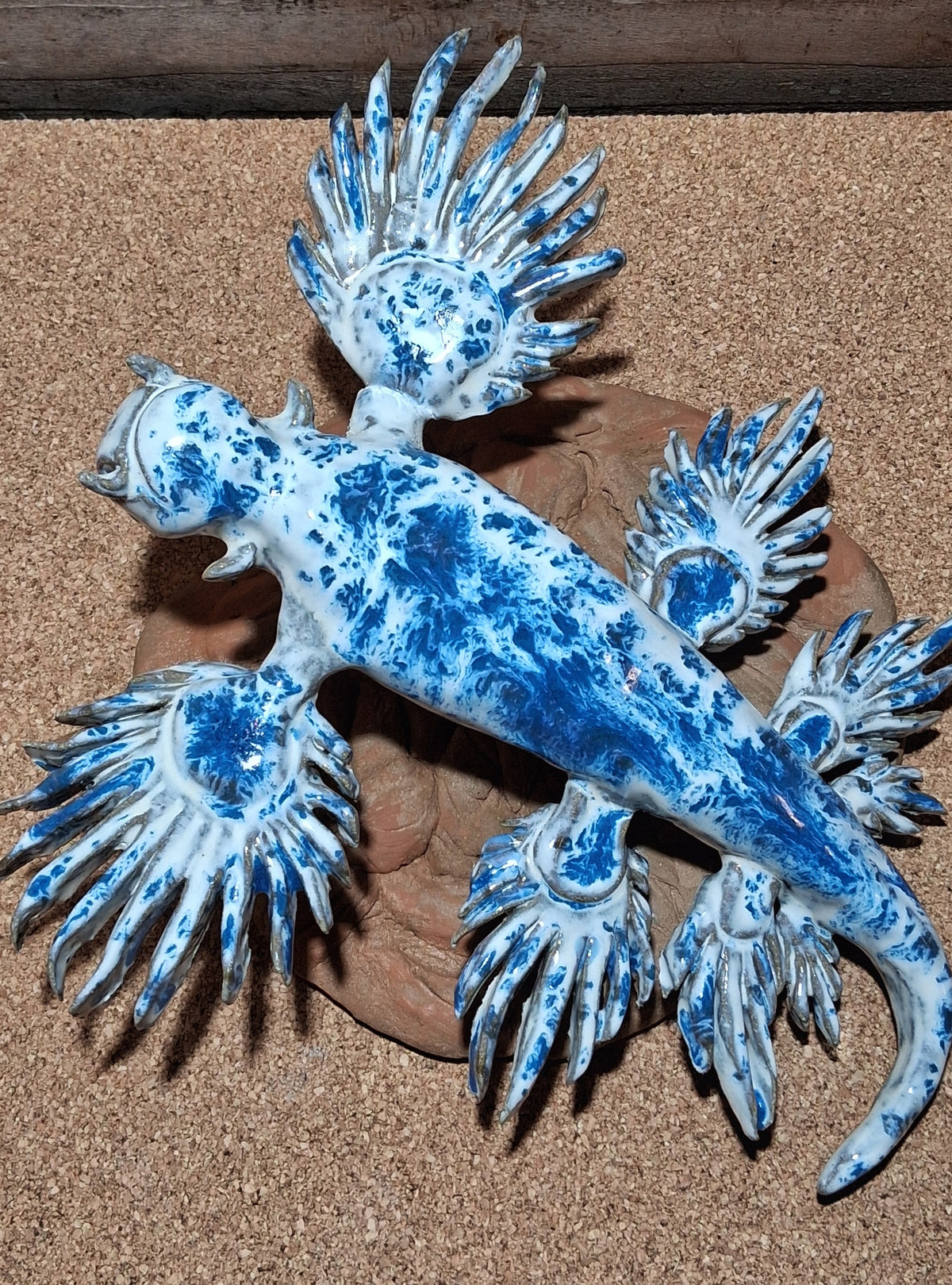 Blue Glaucus sea slug