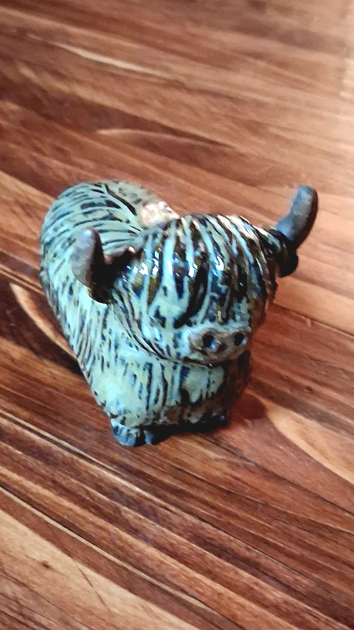 Highland Cow